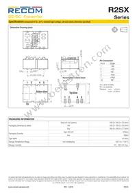 R2SX-2405-TRAY Datasheet Page 6