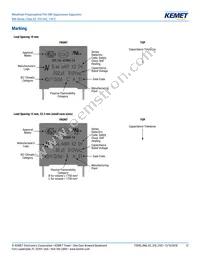 R463I26805001K Datasheet Page 12