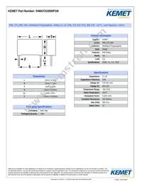 R46KF310000P1M Datasheet Cover