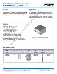 R46KI23300001M Datasheet Cover