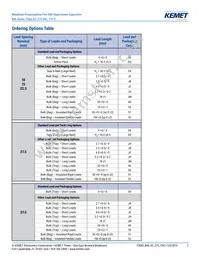 R46KI23300001M Datasheet Page 2