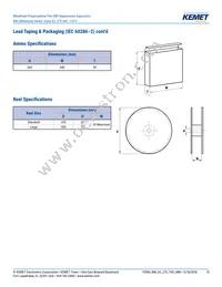 R46KI333040P1K Datasheet Page 15