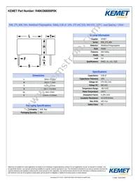 R46KI368000P0K Datasheet Cover