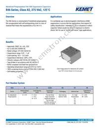 R46KN368040H1M Datasheet Cover