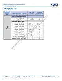 R46KN368040H1M Datasheet Page 2