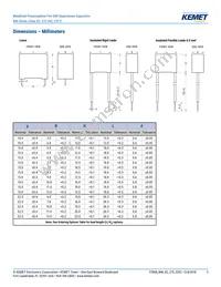 R46KN368040H1M Datasheet Page 3