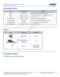 R46KN368040H1M Datasheet Page 6