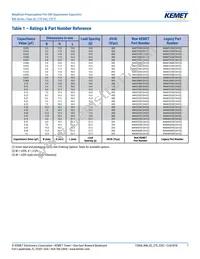 R46KN368040H1M Datasheet Page 7