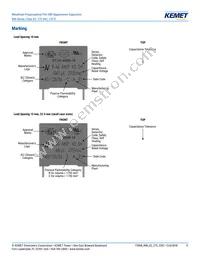 R46KN368040H1M Datasheet Page 11