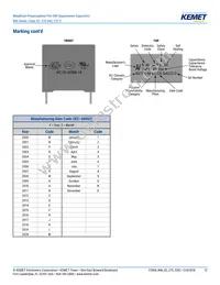 R46KN368040H1M Datasheet Page 12