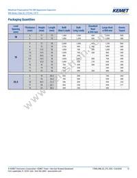 R46KN368040H1M Datasheet Page 13