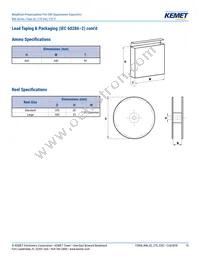 R46KN368040H1M Datasheet Page 15