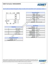 R46KN422000P0M Datasheet Cover