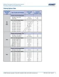 R474N3100JBA1M Datasheet Page 2