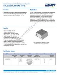 R49AI247000B1M Datasheet Cover