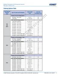 R49AI247000B1M Datasheet Page 2