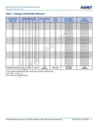 R49AI247000B1M Datasheet Page 7