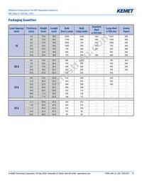 R49AI247000B1M Datasheet Page 13