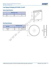 R49AI247000B1M Datasheet Page 15