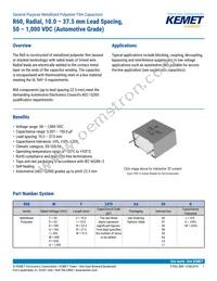 R60PR4100AA50K Datasheet Cover