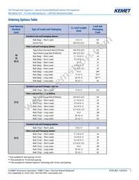 R60PR4100AA50K Datasheet Page 2