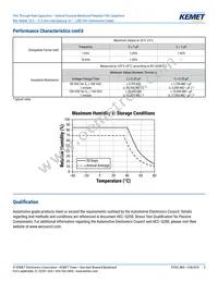 R60PR4100AA50K Datasheet Page 5