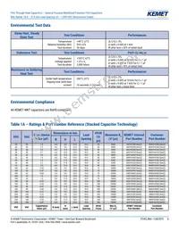 R60PR4100AA50K Datasheet Page 8