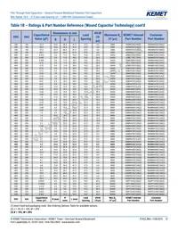 R60PR4100AA50K Datasheet Page 12