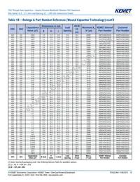 R60PR4100AA50K Datasheet Page 13