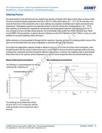 R60PR4100AA50K Datasheet Page 15