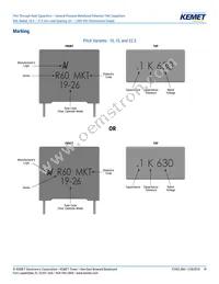 R60PR4100AA50K Datasheet Page 19