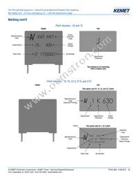 R60PR4100AA50K Datasheet Page 20