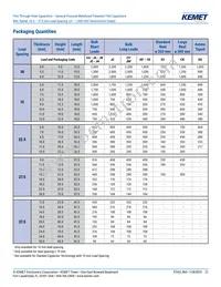 R60PR4100AA50K Datasheet Page 21