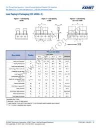 R60PR4100AA50K Datasheet Page 22