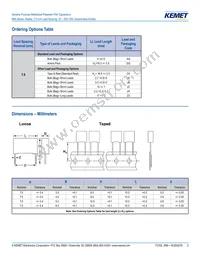 R66PD1100AA10K Datasheet Page 2