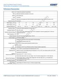 R66PD1100AA10K Datasheet Page 3