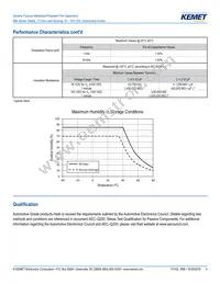 R66PD1100AA10K Datasheet Page 4