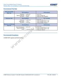 R66PD1100AA10K Datasheet Page 7