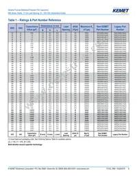 R66PD1100AA10K Datasheet Page 8