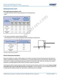 R66PD1100AA10K Datasheet Page 10