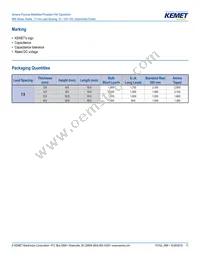 R66PD1100AA10K Datasheet Page 11