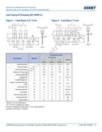 R66PD1100AA10K Datasheet Page 12