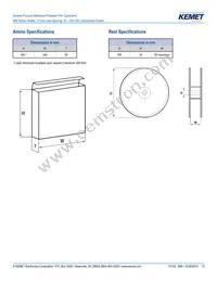 R66PD1100AA10K Datasheet Page 13