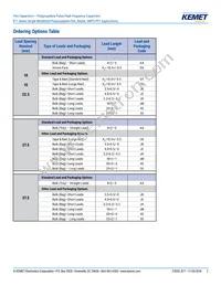 R71QW4220AA00J Datasheet Page 2