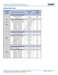 R71VI33304030K Datasheet Page 2