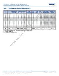 R71VI33304030K Datasheet Page 12