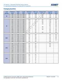 R71VI33304030K Datasheet Page 17