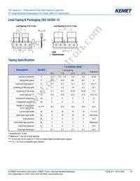 R71VI33304030K Datasheet Page 18