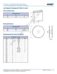 R71VI33304030K Datasheet Page 19