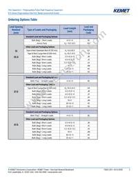 R73UI11004000J Datasheet Page 2